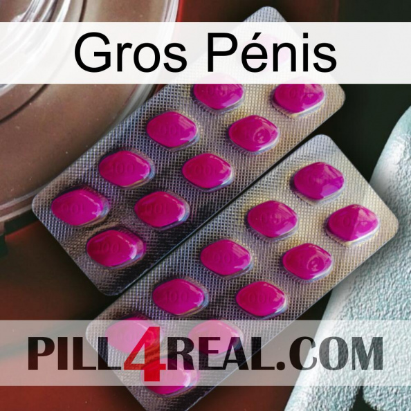 Gros Pénis 10